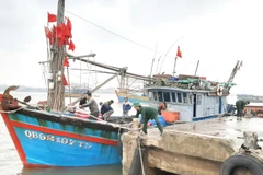 Tàu cá gặp nạn được cứu hộ kéo vào cảng biển an toàn. (Ảnh: Võ Dung/TTXVN)