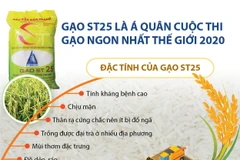 Những đặc tính khiến ST25 giành á quân cuộc thi Gạo ngon nhất thế giới