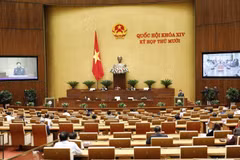 Quang cảnh phiên họp ngày 24/10. (Ảnh: Dương Giang/TTXVN)