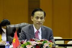 Thứ trưởng Bộ Ngoại giao Lê Hoài Trung. (Ảnh: Phạm Kiên/TTXVN)
