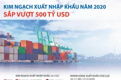 [Infographics] Kim ngạch xuất nhập khẩu năm 2020 sắp vượt 500 tỷ USD