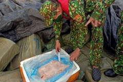 Một vụ vận chuyển nội tạng động vật đã bốc mùi hôi thối bị phát hiện. (Nguồn: TTXVN)