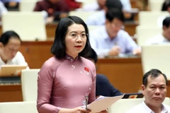 Đại biểu Quốc hội tỉnh Nam Định Mai Thị Phương Hoa phát biểu. (Ảnh: Phạm Kiên/TTXVN)