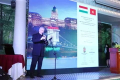 Nghệ sỹ nổi tiếng Hungary Jozef Terek trình diễn âm nhạc bằng loại nhạc cụ truyền thống Torogato. (Ảnh: Xuân Khu/TTXVN)