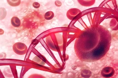 Ảnh minh họa. (Nguồn: Blood Medical)