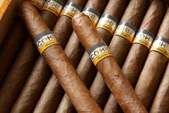 Xì gà Cohiba. (Nguồn: Agefotostock)