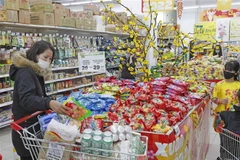 Ảnh minh họa. (Nguồn: TTXVN)