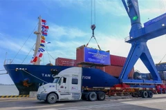 Bốc dỡ container lên tàu Tan Cang Foundation. (Ảnh: Thanh Liêm/TTXVN)