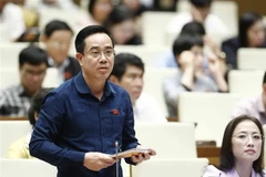 Đại biểu Quốc hội tỉnh Thái Bình Nguyễn Văn Huy phát biểu. (Ảnh: An Đăng/TTXVN)