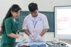 Cô giáo Đặng Thị Bích Huệ, giáo viên Trường Cao đẳng Kỹ thuật và Công nghệ Hà Giang giảng dạy trên lớp. (Ảnh: Nam Thái/TTXVN)