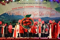 Chương trình nghệ thuật đặc sắc với chủ đề 'Về miền trái ngọt' tại buổi lễ. (Ảnh: Danh Lam/TTXVN)