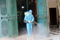 Phun hóa chất diệt muỗi phòng, chống sốt xuất huyết. (Ảnh: Nguyễn Chinh/TTXVN)