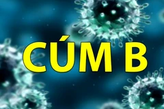 [Video] Người bệnh cần làm gì khi nghi ngờ mắc cúm B?