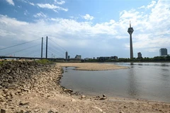 Lòng sông Rhine đoạn chảy qua Duesseldorf, miền Tây Đức, bị khô cạn một phần do hạn hán hồi tháng 7/2022. (Ảnh: AFP/TTXVN)
