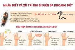 Cách nhận biết và xử trí khi bị kiến ba khoang đốt.