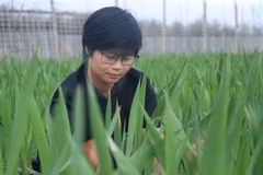 Chị Trần Thị Quỳnh Vân tại nông trại của mình ở phường Hưng Đạo, quận Dương Kinh, thành phố Hải Phòng. (Ảnh: Hoàng Ngọc/TTXVN)