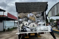 Xe tải vận chuyển chất thải trái phép bị tạm giữ. (Ảnh: TTXVN phát)