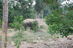 Ảnh minh họa. (Nguồn: TTXVN)