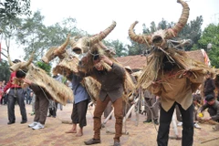 Tiếng trống, chiêng vang lên, không khí lễ hội tưng bừng, những con trâu bằng rơm, bằng rạ được người dân hóa thân đi cày. (Ảnh: PV/Vietnam+)