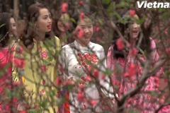 Lễ hội Xuân 2016 thu hút rất nhiều các bạn trẻ tới tham gia. (Ảnh: Tùng Lâm/Vietnam+)