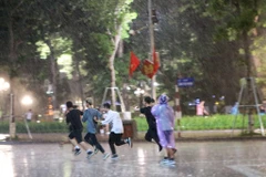 (Ảnh: Minh Sơn/Vietnam+)