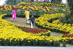 Con đường hoa xuân lớn nhất miền Bắc sẽ được hoàn thành phục vụ người dần Thủ đô trong dịp Tết Bính Thân.