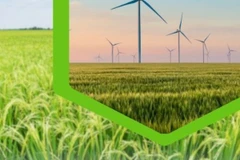 Đưa năng lượng tái tạo vào canh tác nông nghiệp ở Đồng bằng sông