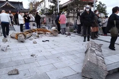 Đại sứ quán Việt Nam tới vùng động đất hỗ trợ cộng đồng người Việt bị ảnh hưởng