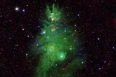 Hình ảnh cụm sao cụm sao NGC 2264. (Nguồn: Washington Post)