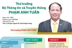 Thông tin về Thứ trưởng Bộ Thông tin và Truyền thông Phạm Anh Tuấn