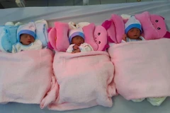 Sau khi phẫu thuật cấp cứu, chị N. sinh được ba bé trai khỏe mạnh. (Ảnh: Thanh Sang/TTXVN)