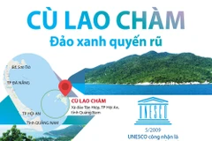 Cù Lao Chàm - Khu dự trữ sinh quyển độc đáo của thế giới