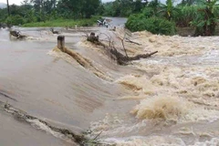 (Ảnh minh họa: TTXVN phát)