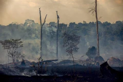 Rừng Amazon bị thiêu trụi tại Altamira, bang Para, Brazil, ngày 27/8/2019. (Ảnh: AFP/ TTXVN)