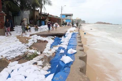 Khu vực kè biển xã Nhơn Hải đã được Bộ đội Biên phòng Bình Định hỗ trợ chèn bao cát chống xói lở. (Ảnh: Phạm Kha/TTXVN)