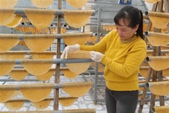 Kiểm tra bánh phồng tôm trong lò sấy bằng năng lượng mặt trời, có hộ có thể cung ứng 1 tấn bánh phồng tôm mỗi tháng. (Ảnh: Hồng Nhung/TTXVN)