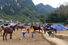 Cao Bằng: Người dân dựng lán ngủ ngoài đồng sau động đất thứ 2