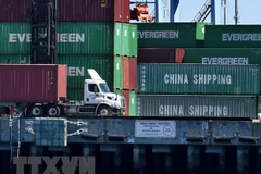 Các container hàng hóa từ Trung Quốc và các quốc gia khác chờ bốc dỡ tại cảng Los Angeles, California, Mỹ ngày 16/2/2019. (Ảnh: AFP/TTXVN)