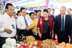 Chủ tịch Quốc hội Nguyễn Thị Kim Ngân thăm các gian hàng ẩm thực của Hội chợ. (Ảnh: Trọng Đức/TTXVN)