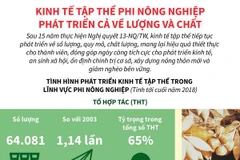Kinh tế tập thể phi nông nghiệp phát triển cả về lượng và chất