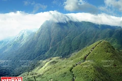 Khám phá đỉnh Fansipan bằng cách leo bộ qua những khu rừng già và những ngọn núi hùng vĩ. (Ảnh: Bá Ngọc/Báo ảnh Việt Nam)