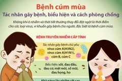 Bệnh cúm mùa: Tác nhân gây bệnh, biểu hiện và cách phòng chống