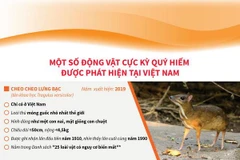 Một số động vật cực kỳ quý hiếm được phát hiện tại Việt Nam