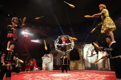 Các nghệ sỹ Việt Nam biểu diễn chương trình xiếc chào mừng khai mạc liên hoan. (Ảnh: Thanh Tùng/TTXVN)