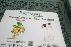 Quả nhãn là loại trái cây thứ 4 của Việt Nam được Australia cấp phép nhập khẩu, sau quả vải, xoài và thanh long. (Ảnh: TTXVN phát)