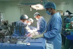 (Ảnh minh họa: TTXVN)