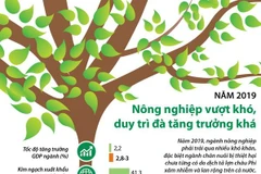 Năm 2019: Nông nghiệp vượt khó, duy trì đà tăng trưởng khá
