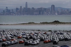 Ôtô mới tại kho bãi gần cảng Richmond, bang California của Mỹ. (Ảnh: AFP/TTXVN)
