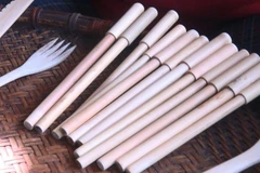 Ngoài sản xuất ống hút, anh Lê Xuân Hà còn sản xuất thêm các sản phẩm khác thân thiện với môi trường như bút, thìa, dao, dĩa... bằng tre luồng. (Ảnh: Khiếu Tư/TTXVN)