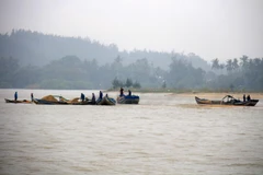 Các ghe hút hoạt động hết công suất. (Ảnh: Phước Ngọc/TTXVN)